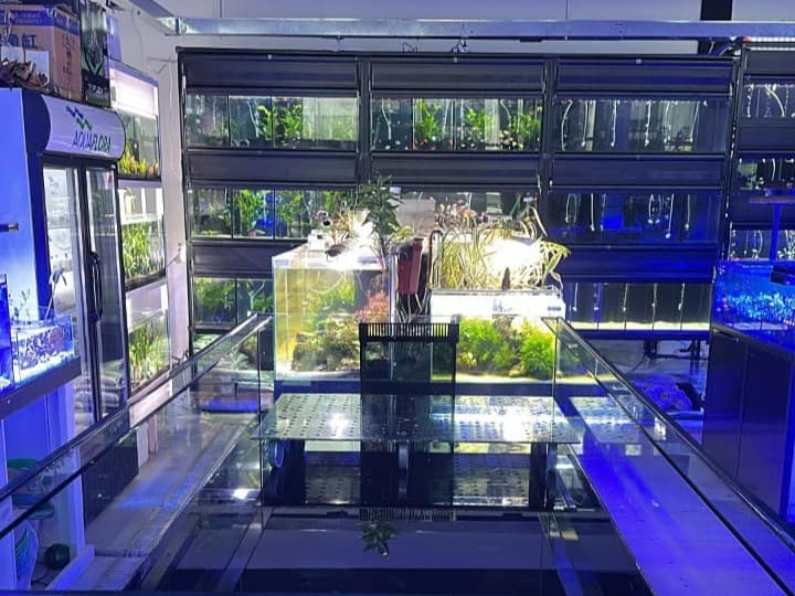 Fish Tank Rack - Image 1 on card